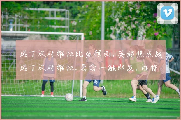 诺丁汉对维拉比分预测,英超焦点战诺丁汉对维拉,悬念一触即发,谁将笑到最后